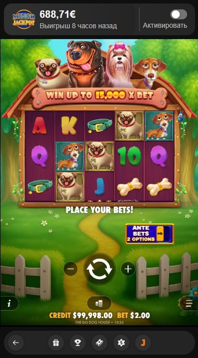 Oberfläche des Slots The Big Dog House bei Joy Casino